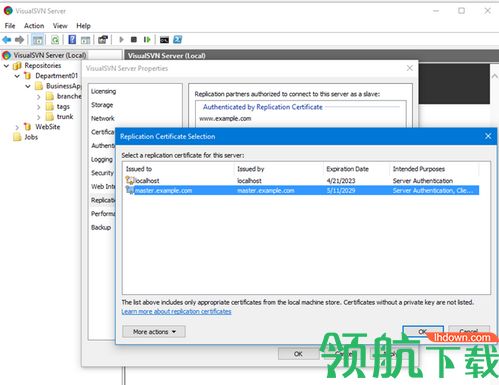 VisualSVN Server Enterprise破解版