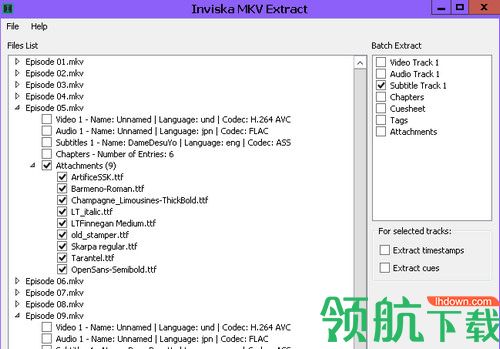 Inviska MKV Extract中文破解版