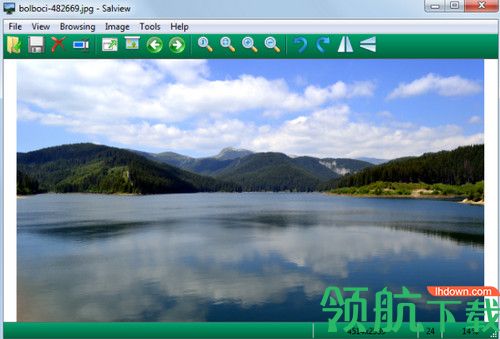 Salview破解版