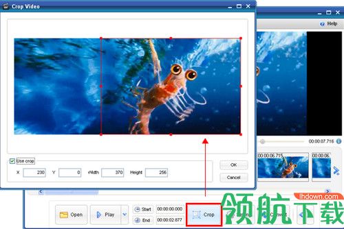 ThunderSoft GIF Maker破解版