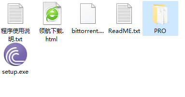 BitTorrentPro下载工具绿色破解版