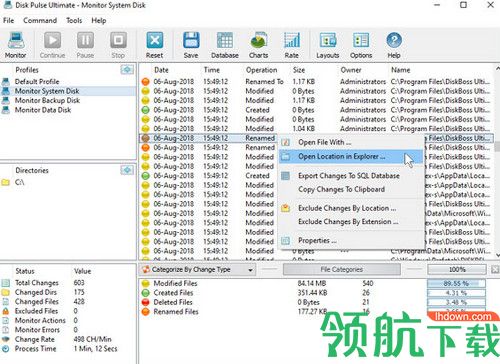 Disk Pulse Enterprise最新版