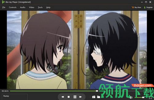 Apeaksoft Bluray Player破解版