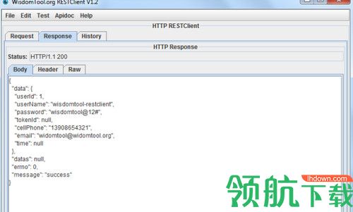 Wisdom RESTClient绿色版