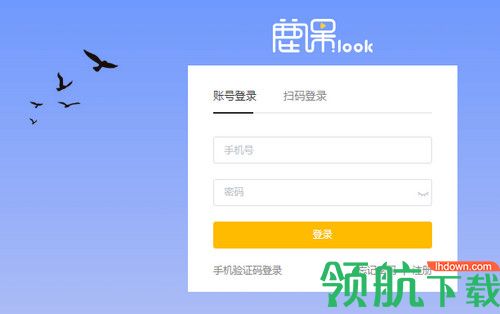 鹿课Look客户端