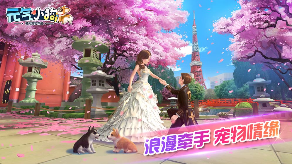 元气小狗安卓版