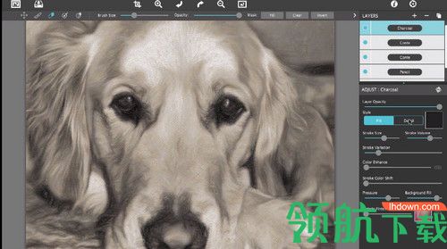 JixiPix Pastello破解版