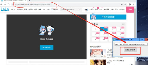 bilibili会员番剧解锁软件