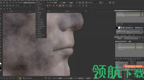 The Foundry Mari 4破解版