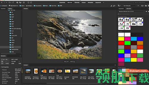 Adobe Bridge 2020破解版