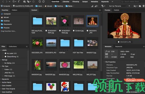 Adobe Bridge 2020破解版