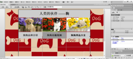AdobeDreamweavercc2020中文破解版