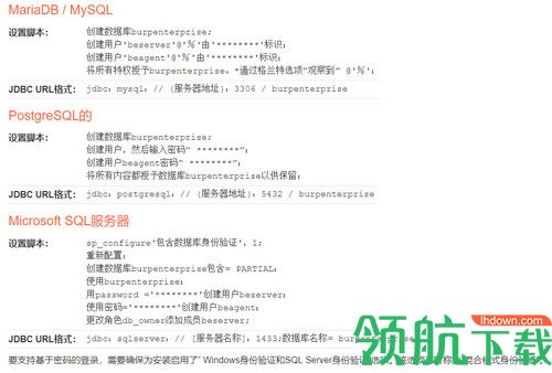 Burp Suite Professional破解版