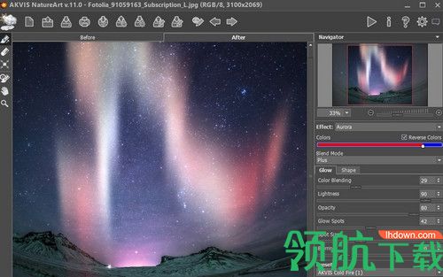 AKVIS NatureArt中文版
