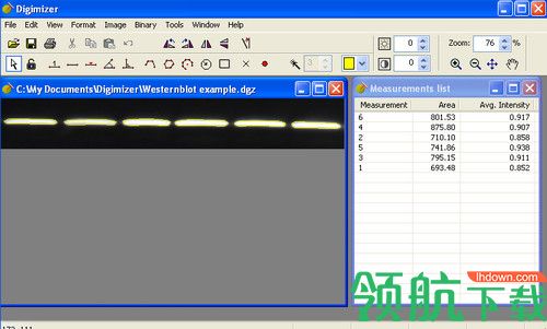 Digimizer 5破解版