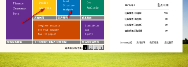 中恒诺德财务报表分析助手官方版