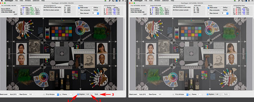RawDigger破解版