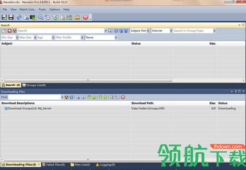 Newsbin Pro免费版