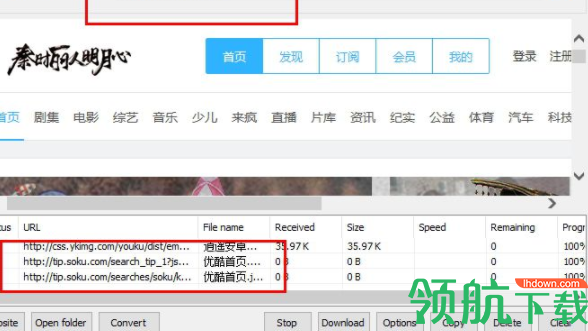 udownloader网页视频下载器绿色版