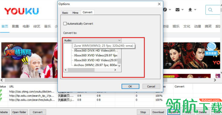 udownloader网页视频下载器绿色版