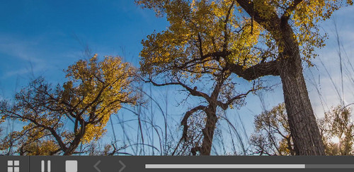 4K Downloader破解版