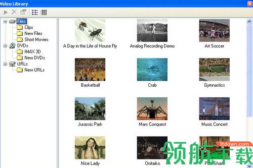 Stereoscopic Player破解版