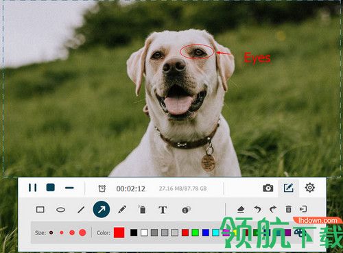 VideoSolo Screen Recorder破解版