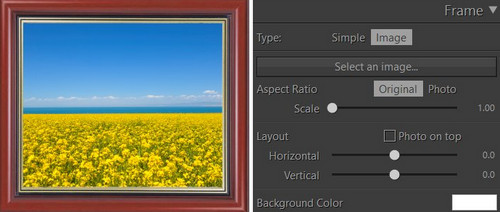 PT Watermark最新版