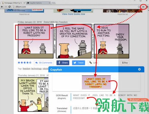Copyfish绿色版