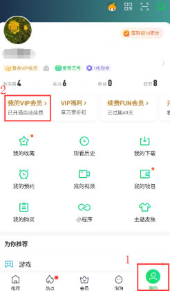 爱奇艺去广告破解版