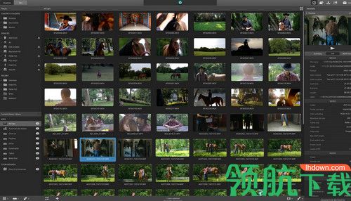 Sony Catalyst Production Suite 2019破解版