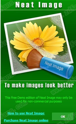 NeatImage绿色版