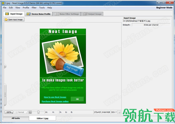 NeatImage绿色版