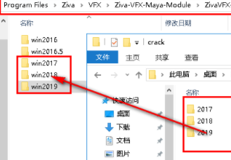 ZivaDynamicsZivaVFX绿色破解版