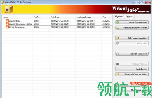 Virtual Safe Professional破解版