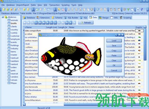 SQLite Expert Pro破解版