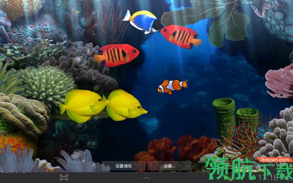 小鱼动态桌面壁纸官方版