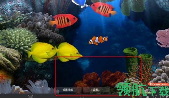 小鱼动态桌面壁纸官方版
