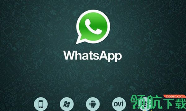 What sapp系统工具官方版