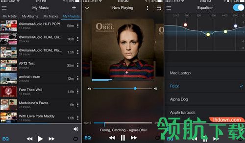Amarra Luxe Mac破解版