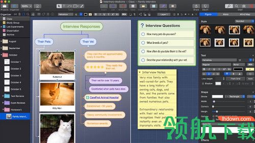Curio Professional Mac破解版