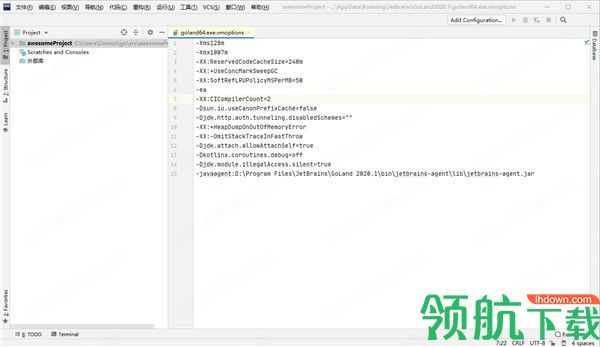 JetBrainsGoLand2020中文破解版