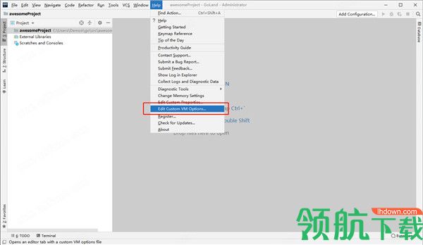 JetBrainsGoLand2020中文破解版