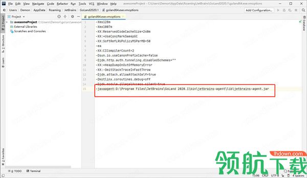 JetBrainsGoLand2020中文破解版