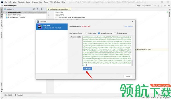 JetBrainsGoLand2020中文破解版