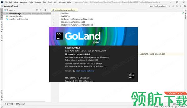 JetBrainsGoLand2020中文破解版