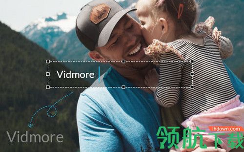 Vidmore破解版