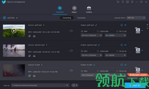 Vidmore破解版