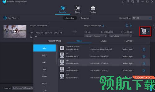 Vidmore破解版