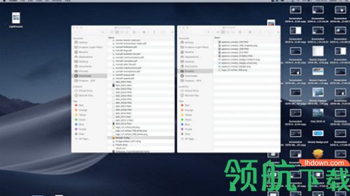 Spotless for Mac破解版